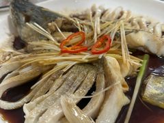 -煲来饱去冷水鱼