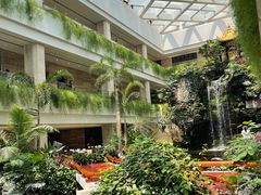 -白天鹅宾馆-宏图府餐厅