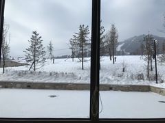 -长白山凯悦酒店·市集咖啡厅