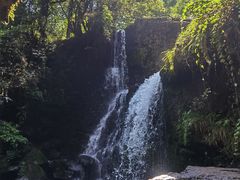 -龙苍沟森林公园