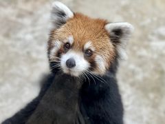 -杭州野生动物世界