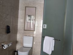 -廊坊固安福朋喜来登酒店