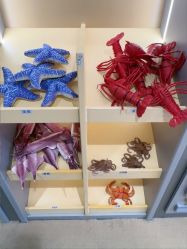 -嗨贝天地亲子乐园 · 生日派对·VR对战(万象城店)