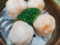 虾饺-老广新意(奥园店)