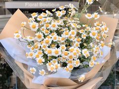 -植物学家的女儿(北马道巷店)