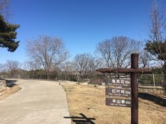 -鬼笑石后山停车场