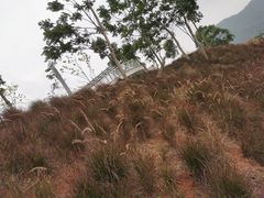 -白石龙音乐公园