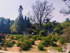 -济南南郊宾馆