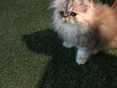 -赢吧Bliss音乐酒吧
