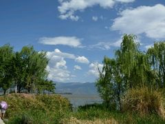 android_upload_pic-西昌邛海湿地