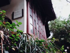 -西泠印社