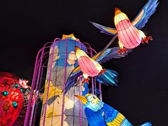 -西安城墙·碑林历史文化景区