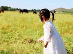 -塞罕坝国家级自然保护区