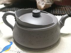 -灵龟之家百象馆(百象馆联合旗舰店)