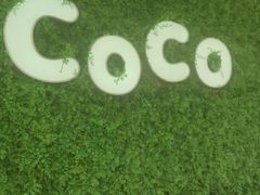 -CoCo都可(建外SOHO店)