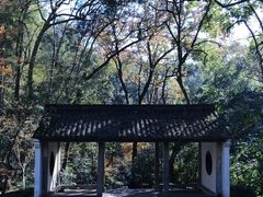 -虎跑公园