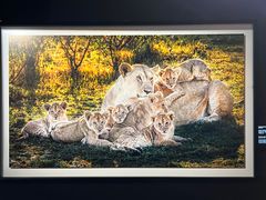 -罗红摄影艺术馆