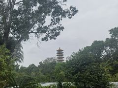 -深圳仙湖植物园
