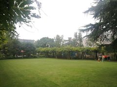 -嘉定紫藤园