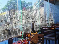 -红泰·泰精选·特色料理(中山路店)