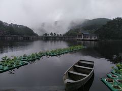 -庐山风景区花径公园