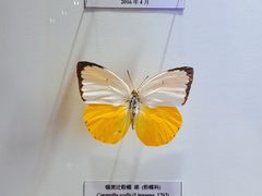 -吉林省自然博物馆