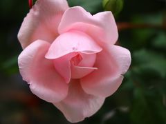 -人民公园(罗湖区)