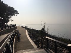 -深圳湾公园(南山区)