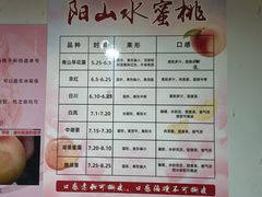 -老袁家蜜桃农场·阳山水蜜桃