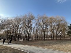 -长春公园(普阳街道)