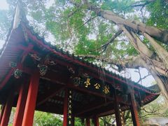 -乌山风景区