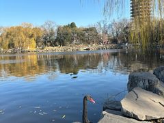 -3W咖啡(北大店)