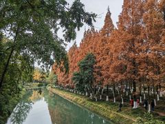 -升仙湖公园