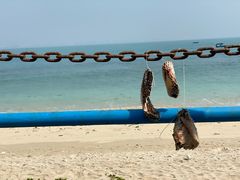 -三亚西岛海洋文化旅游区