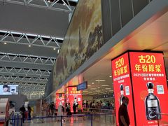 -合肥新桥国际机场-航站楼