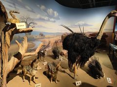 -陕西自然博物馆