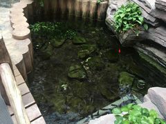 -嘉悦汗蒸时代(曙光路店)