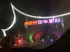 -枫花园汽车电影院(朝阳公园店)