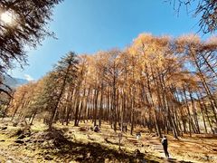 -硗碛藏寨·神木垒景区