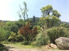 -黄公望隐居地
