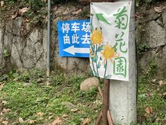 -贵州省植物园