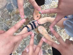 -将军关探险漂流