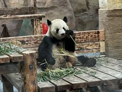 -无锡动物园·太湖欢乐园