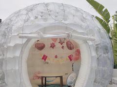 -天空花园餐吧·生日·团建(南山店)