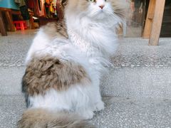 -靖港古镇