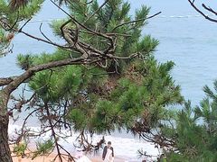 -青岛第二海水浴场