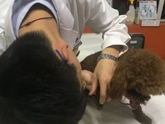 -惠康宠物医院(华能路店)