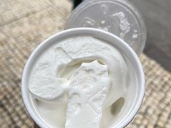椰子雪糕-洪馨椰子