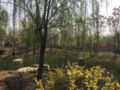 -武清南湖绿博园