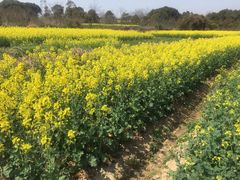 -南京市无想山景区